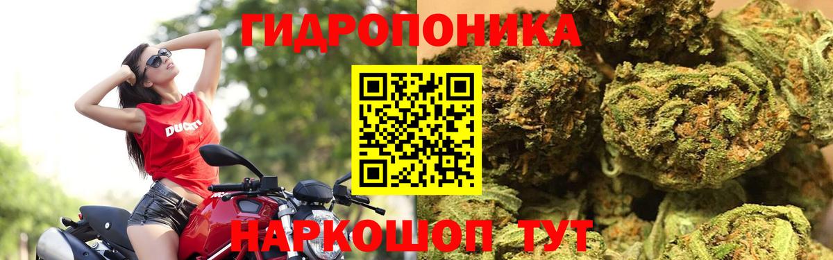 Каннабис планчик  Бошки марихуана индика  Полевской  Вход с VPN 